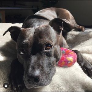 Meet your Posher, Scott